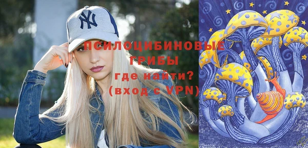 экстази Арсеньев
