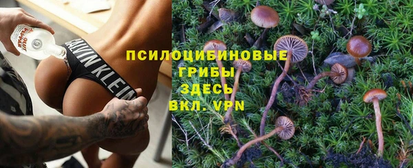 хмурый Осташков