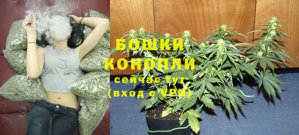 PSILOCYBIN Армянск