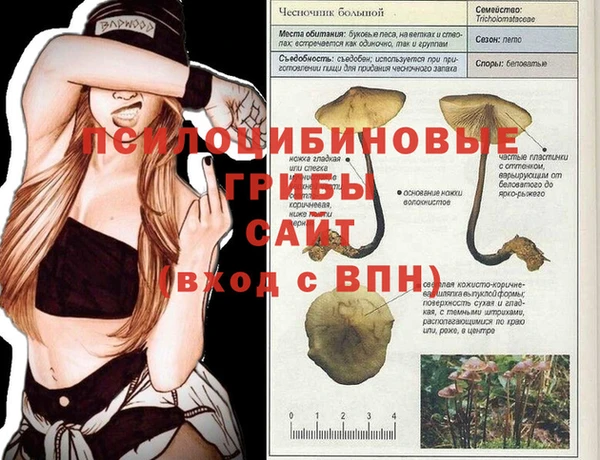 экстази Арсеньев