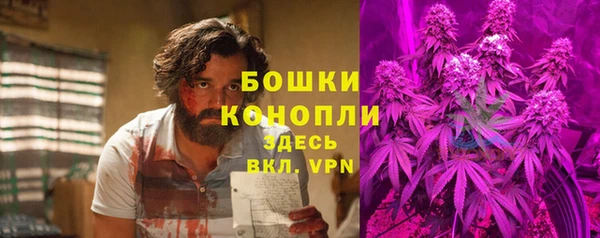 ALPHA PVP Осинники